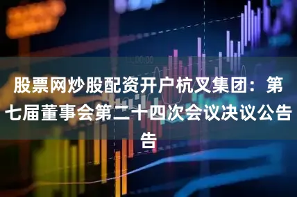 股票网炒股配资开户杭叉集团：第七届董事会第二十四次会议决议公告