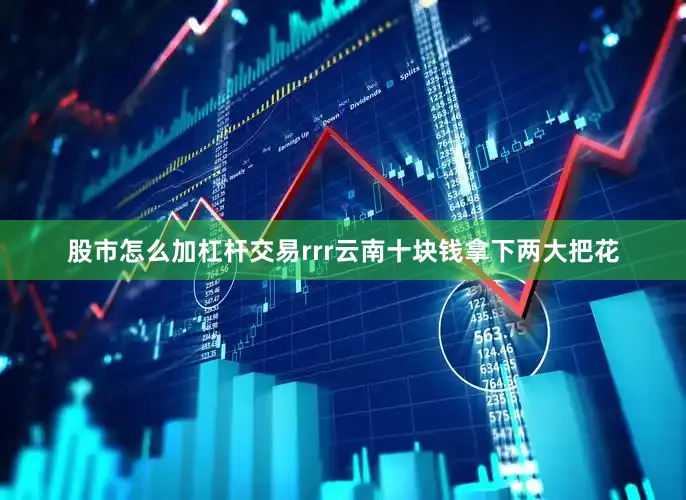 股市怎么加杠杆交易rrr云南十块钱拿下两大把花