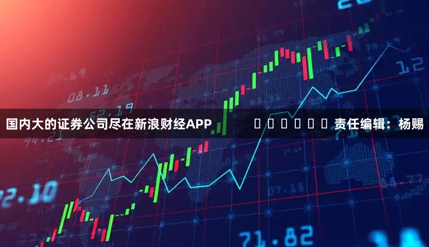 国内大的证券公司尽在新浪财经APP            						责任编辑：杨赐