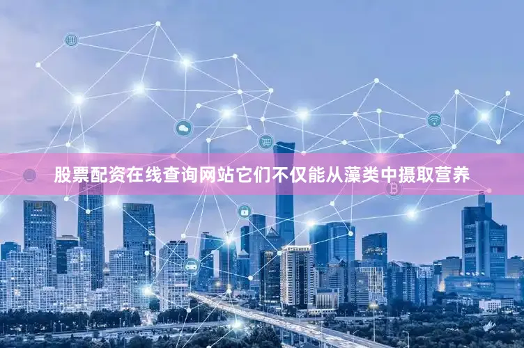 股票配资在线查询网站它们不仅能从藻类中摄取营养