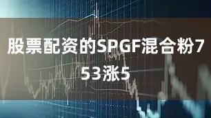 股票配资的SPGF混合粉753涨5