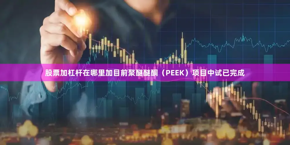 股票加杠杆在哪里加目前聚醚醚酮（PEEK）项目中试已完成