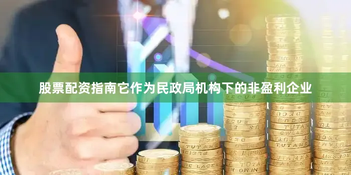 股票配资指南它作为民政局机构下的非盈利企业