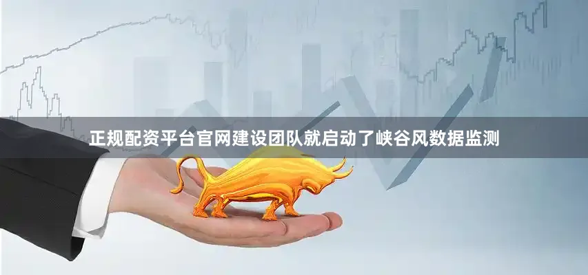 正规配资平台官网建设团队就启动了峡谷风数据监测