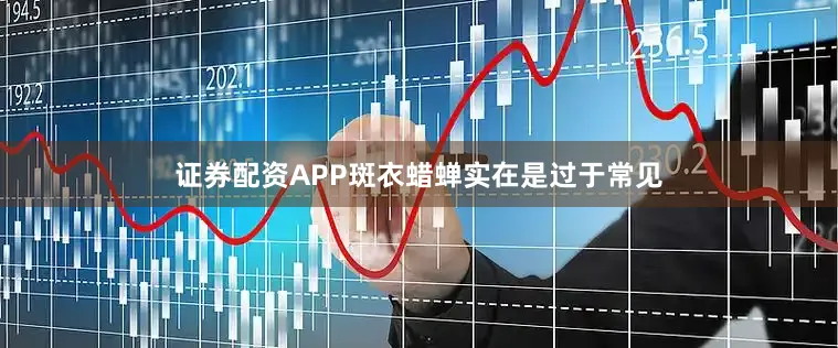 证券配资APP斑衣蜡蝉实在是过于常见