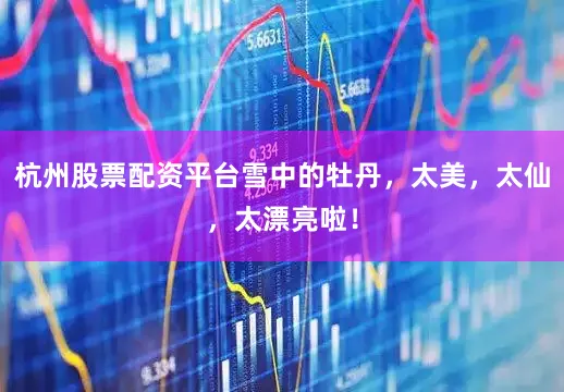 杭州股票配资平台雪中的牡丹，太美，太仙，太漂亮啦！